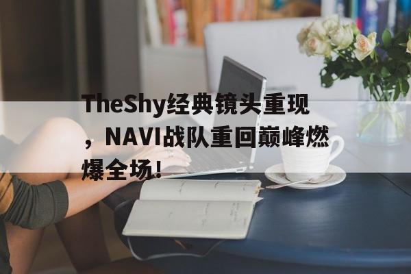 了解电子竞技体育-TheShy经典镜头重现，NAVI战队重回巅峰燃爆全场！
